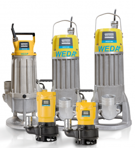 WEDA S family_low